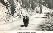 RPPC Greetings From Atlanta Michigan Bear Walking On Road Real Photo P184 picture