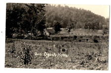 RPPC Postcard Our Ozark Home Henry Field's picture