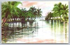 Postcard Florida Fort Myers Creek Art Alice Johnson's Sketchbook 5K picture