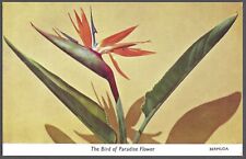 THE BIRD OF PARADISE FLOWER Postcard Lili Perfume Factory Card No. 6 picture