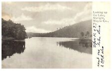 Starlight Wayne County Pennsylvania PA Looking Up the Lake Postcard 1907 picture