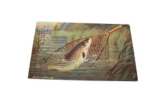 Antique DB Tuck Post Card British Fish Series - Trout picture