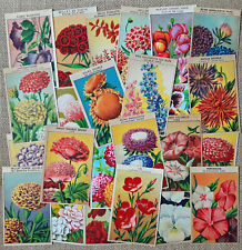 24 Vintage French Flower Seed Packet Labels original 1920's lithographs (Set 3) picture