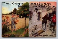 Winter In California Vs. Winter In The East Oranges Snow Balls VINTAGE Postcard picture