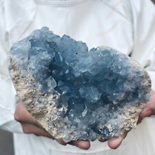 3.1lb Large Natural Blue Celestite Crystal Geode Quartz Cluster Mineral Specime picture