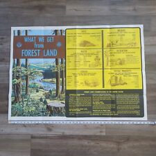 Vintage 1968 US National Forest Service Poster Educational Smokey the Bear 40x32 picture