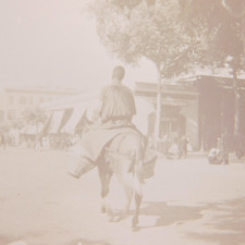 c.1900s Glass Plate Image Man riding Horse  Cairo Egypt 3-1/4x4 picture