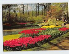 Postcard Holland in flower decoration Netherlands picture