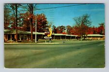 Petoskey MI-Michigan, Hayner's Motel, Advertising, Antique Vintage Postcard picture