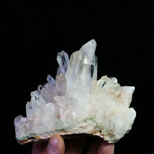 1.11lb Natural White Clear Quartz Crystal Cluster Point Healing Mineral Specimen picture