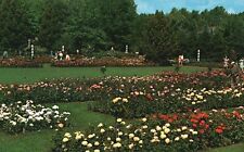 Postcard NY Newark Jackson & Perkins Rose Gardens Chrome Vintage PC K899 picture