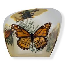 Monarch Butterfly in Resin Paperweight Orange Insect Taxidermy Made in Canada 5