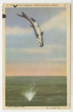 FL Postcard Fisherman's Paradise - West Coast Of Florida 1937 vintage G5 picture
