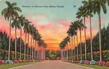 Miami Florida, Palm Lined Entrance to Hialeah Park at Sunset, Vintage Postcard picture