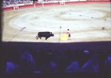 NICE ARENA VIEW,1950'S.VTG KODACHROME 35 MM PHOTO SLIDE*F23 picture