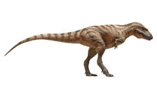 Gorgosaurus 