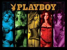 Playboy Pinball Alternate Translite HIGHEST QUALITY RESOLUTION  Choose 1 of 3 picture