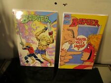 Badger #28 -29 1987 First Comics Deluxe Series picture