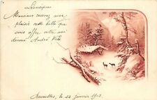 Postcard 1902 Belgium winter forest scene deer undivided FR24-1451 picture