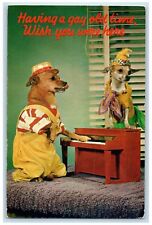 c1950's Having A Gay Old Time Wish You Were Here Chihuahua Piano Postcard picture