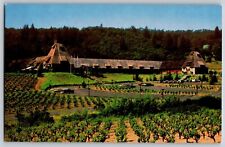 Healdsburg, California - Souverain Winery Independence Lane - Vintage Postcard picture