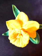Vintage Lenox Fine Porcelain Garden Flowers Daffodil 1989 Figurine Retired picture