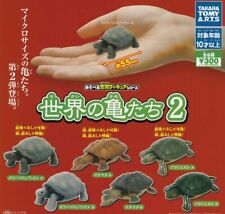 Playable Creature Figure Series Turtles Of The World 2 All 6 Set Capsule Toys picture