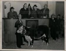 1937 Press Photo J.D. Jordan with Calf at American Royal Show, Kansas City picture