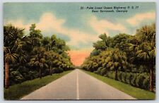 Georgia Savannah Palm Lined Ocean Highway Vintage Postcard picture