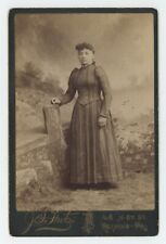 Antique c1880s Cabinet Card Beautiful Young Woman in Stunning Dress Reading, PA picture
