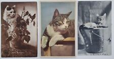 CATS Happy Moments, A Bucket Full, Squeaky 3 1900s Antique Postcards i9 picture