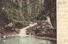 Barnes Falls - Owego, New York 1907 Postcard picture