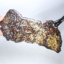 310g Beautiful SERICHO pallasite Meteorite slice - from Kenya C7280 picture