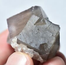 49 Gram Cubic Fluorite Crystals Specimen From Baluchistan Pakistan picture