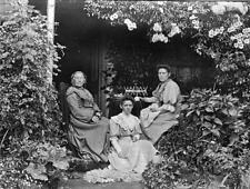 Connewirrecoo, Victoria, pre 1910 Three women seated on a vine-covere Old Photo picture