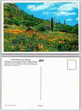 Vintage Postcard - Poppies, Organ Pipe Cactus National Monument , Arizona picture