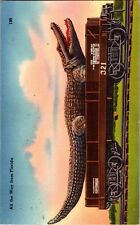 Vtg Linen Postcard Rail Road Car Alligator Train Florida Posted 1F09 picture