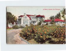 Postcard A Home Among the Oranges USA North America picture