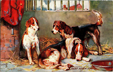 Antique Rafael Tuck Oilette Dog Postcard FOX HOUNDS, Phillip Stretton Artist picture