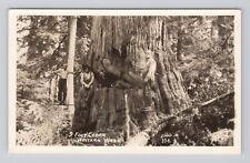 Postcard RPPC 9 Foot Cedar Western Washington Ellis 106 Logging Crew Pose picture