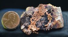 #12,318 Dendritic Copper – Ray Mine, Arizona picture
