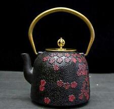 Japanese Very Popular Nambu Ironware Iron Kettle Teapot Stylish Compatib picture