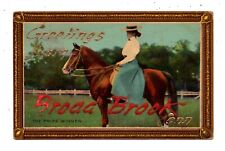 BROAD BROOK, EAST WINDSOR, CT ~ WOMAN ON HORSEBACK, AMP CO PUB ~ used 1910s picture