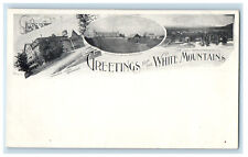 c1900s Buildings Multiview, Greetings from the White Mountains NH PMC Postcard picture