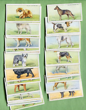1937 W.D. & H.O. WILLS CIGARETTES DOGS 50 DIFFERENT TOBACCO CARD SET picture