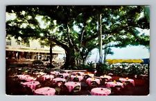 Honolulu HI-Hawaii, Moana Hotel Banyan Court Lanai, Vintage Postcard picture