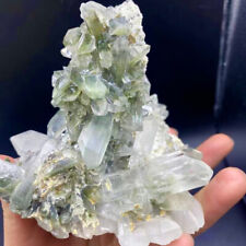 1.6LB Rare TOP Natural Clear Green Phantom Ghost Garden Quartz Crystal specimen picture