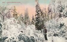 ALASKA AK - Winter Scene In Alaska - 1909 picture