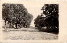 Hayts Corners, NY, Main St., Store, Dirt St, Real Photo Post Card, c1908 #1709 picture