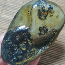 342g Bonsai Suiseki-Natural Gobi Agate Eyes Stone-Rare Stunning Viewing A612 picture